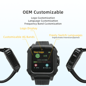 OEM/ODM Heatstroke Alert Watch Heat Stroke Prevention WBGT Heat Index Approximate Value 4-Level Alert IP67 Waterproof Dustproof