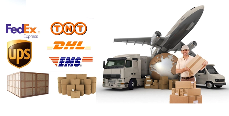 Shipping Logistics