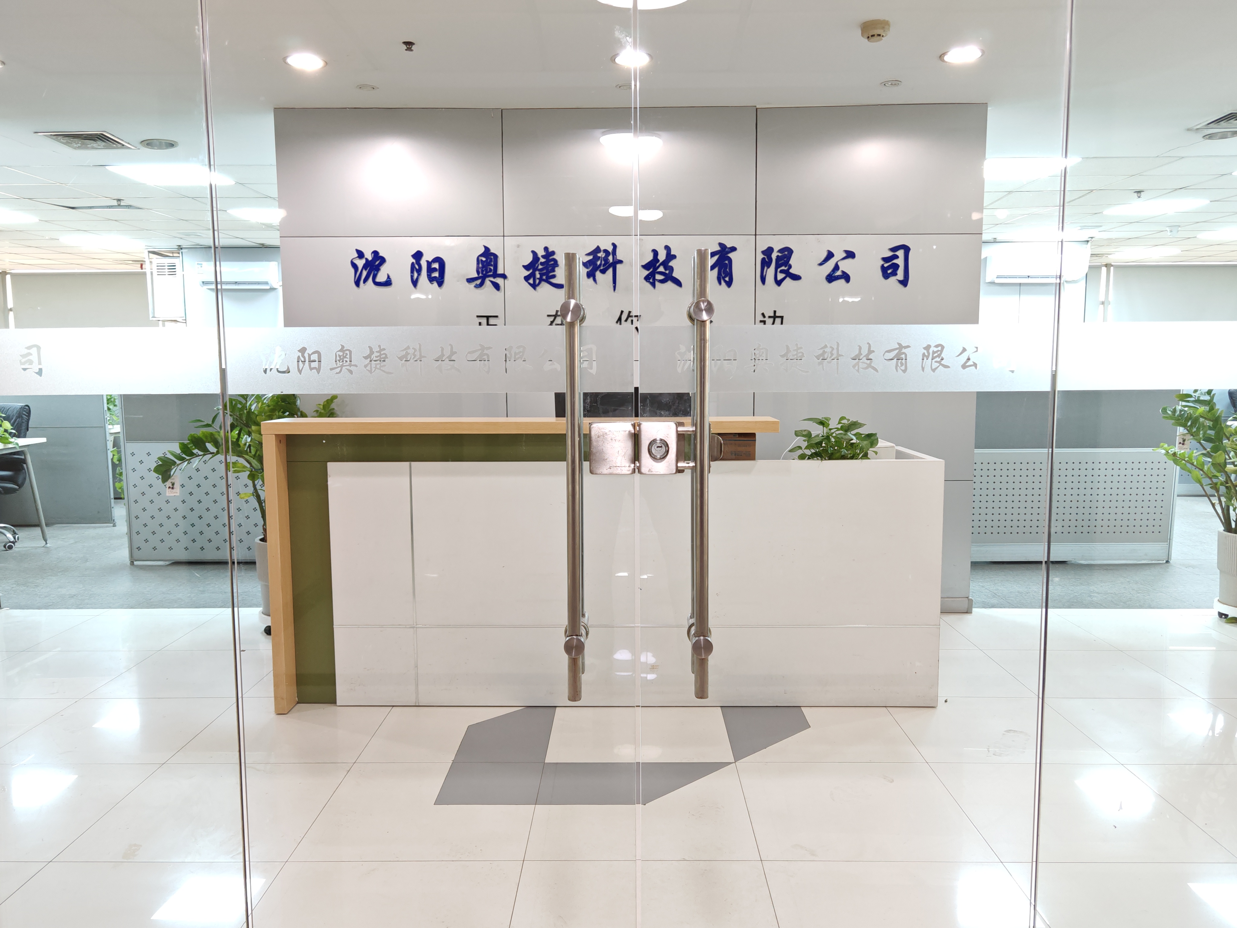 Company Overview