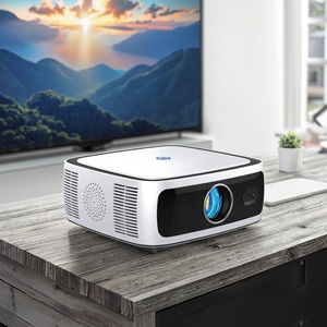 OEM ODM Portable Mini LED Video Projector