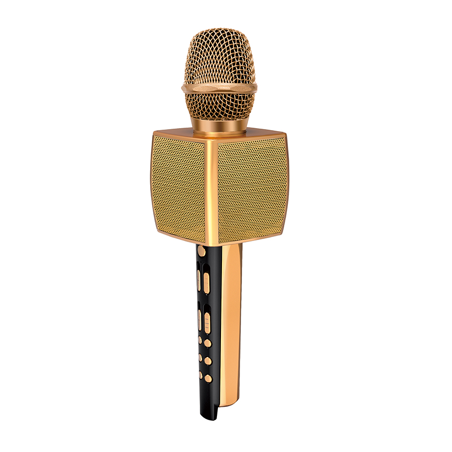 YS98 Family KTV Stereo Dual Wireless Mic Big Watts Sound 10W Karaoke Microphone